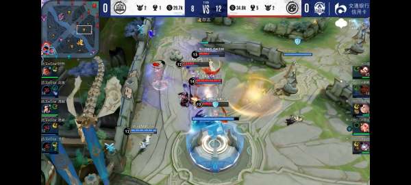 的国际关注 的国际关注