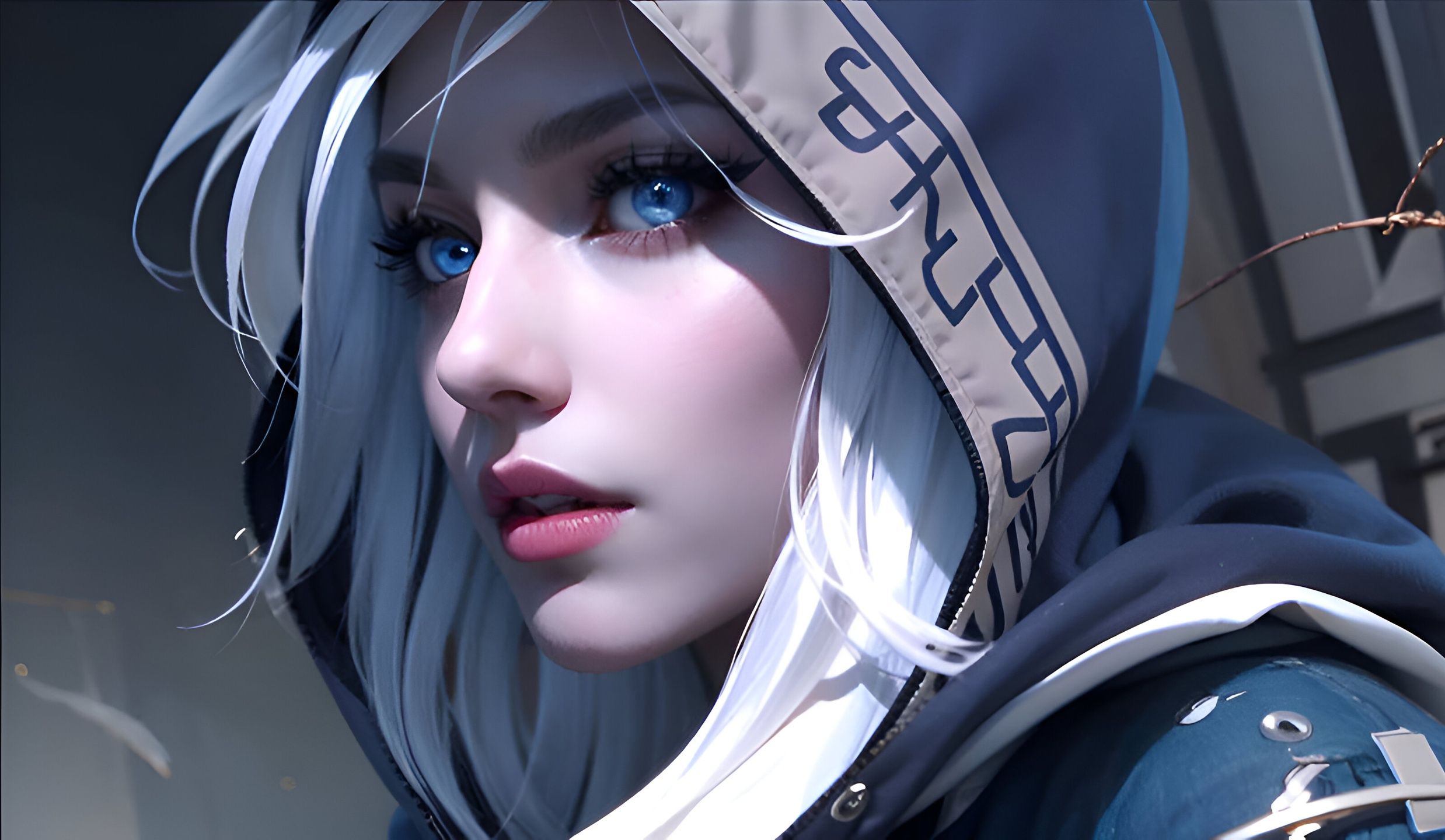 媒体的评价 媒体的评价